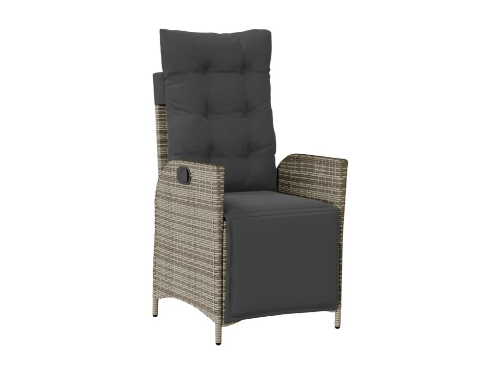 Ensemble à manger de jardin 9 pcs coussins gris résine tressée